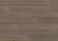 Chêne unique brun brouillard