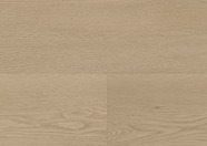 Dąb Amsterdam Dąb Amsterdam