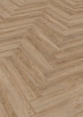 Dąb Malaga Dąb Malaga