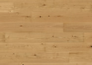 Oak No.33 - Clarence Oak No.33 - Clarence