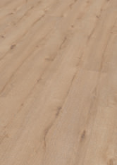 Chêne Lübeck Chêne Lübeck