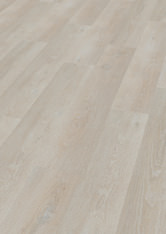 Dąb Stockholm Dąb Stockholm