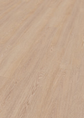 Dąb Berlin Dąb Berlin