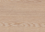 Dąb Berlin Dąb Berlin