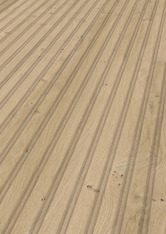 Dąb piaskowy Dąb piaskowy