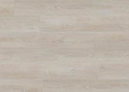 Dąb Stockholm Dąb Stockholm