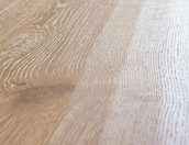 Oak No.18 - Balmoral