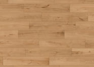 Chêne Banta Chêne Banta