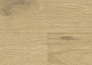 Oak No.32 - South Downs