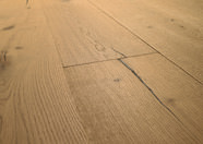 Oak No.31 - Galloway