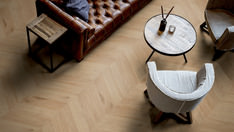 Dąb Dublin Dąb Dublin