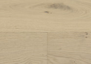 Oak No.25 - Brighton