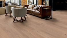 Dąb Beaujolais Dąb Beaujolais