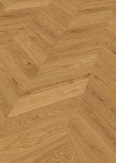 Chêne Jambes Chêne Jambes