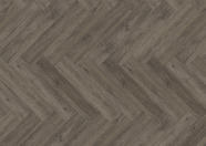 Dąb Canberra Dąb Canberra