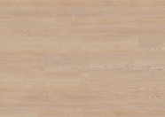 Dąb Berlin Dąb Berlin