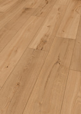 Chêne Banta Chêne Banta