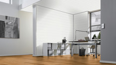 Pinie perlmuttweiß Pinie perlmuttweiß