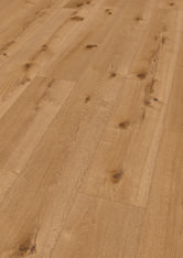 Chêne Juno Chêne Juno