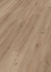 Dąb Budapest Dąb Budapest