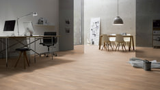 Dąb jasnobeżowy Dąb jasnobeżowy