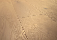 Oak No.25 - Brighton