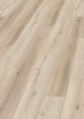 Dąb Tokyo Dąb Tokyo