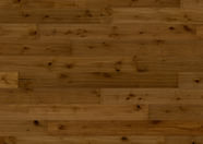 Oak No.29 - Blackdown Hills