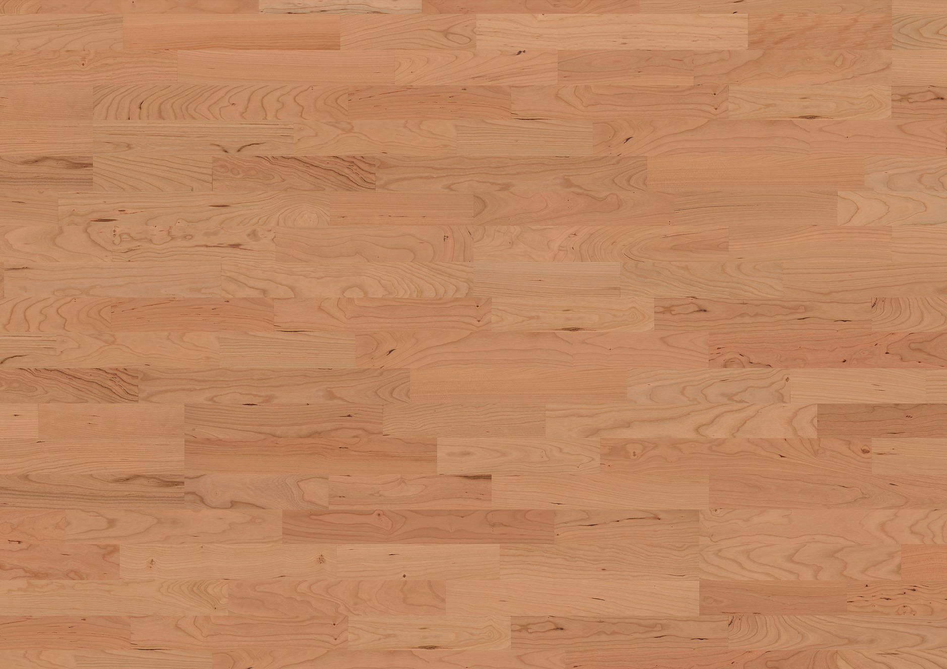 Kirschbaum amerikanisch