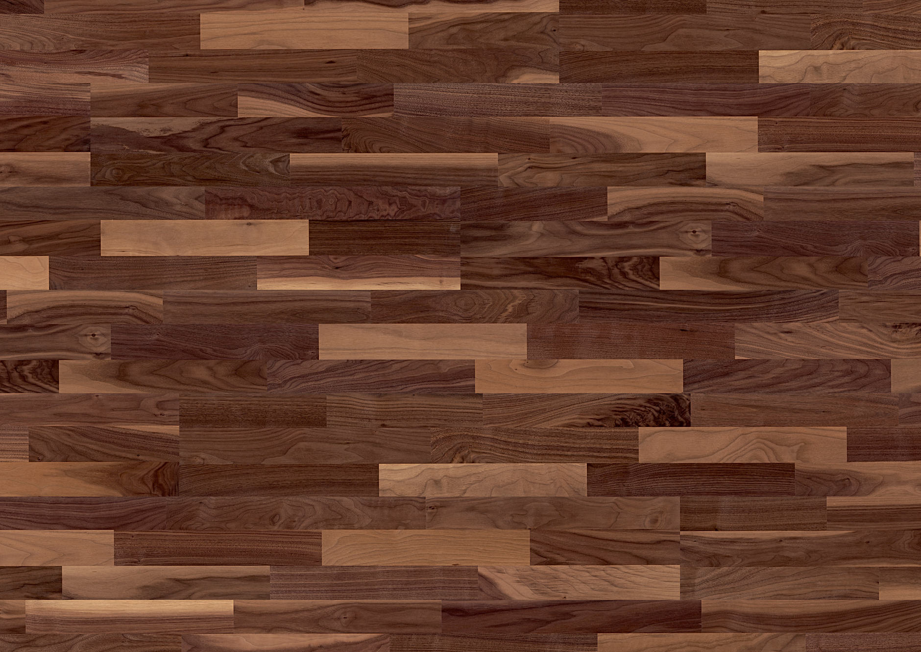 Nussbaum | 1101011529