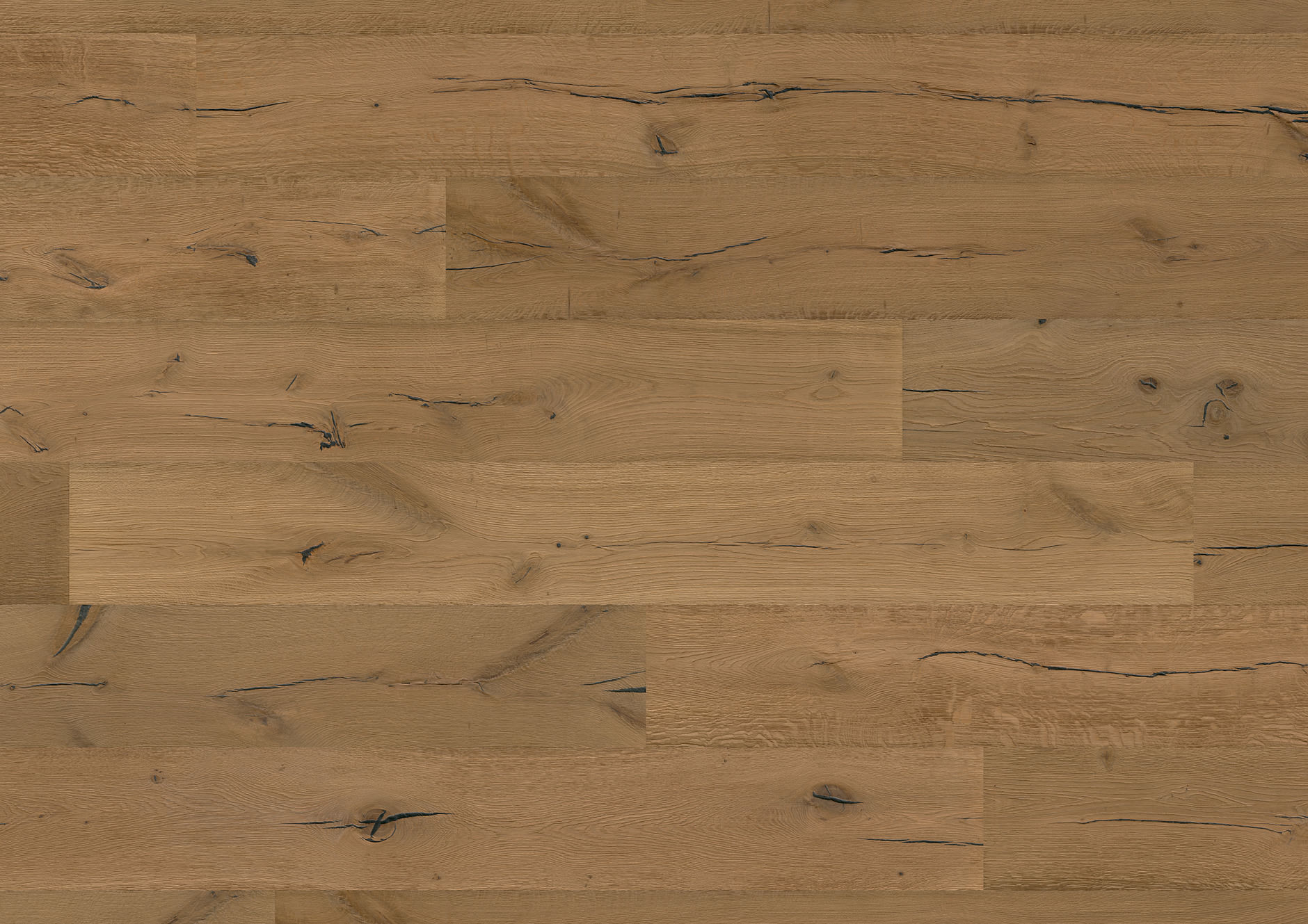 Oak No.34 - Highgrove