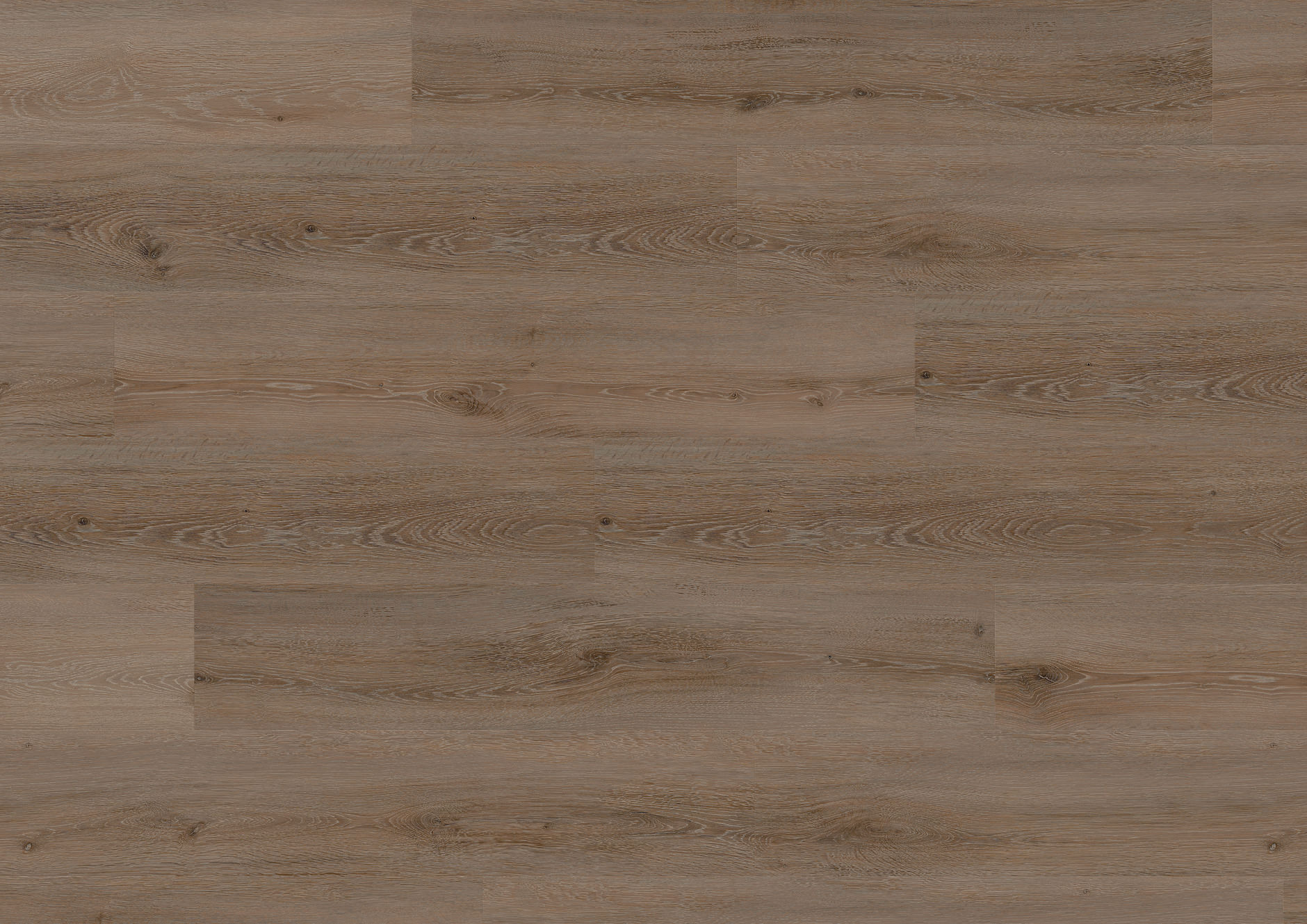 Oak Riga