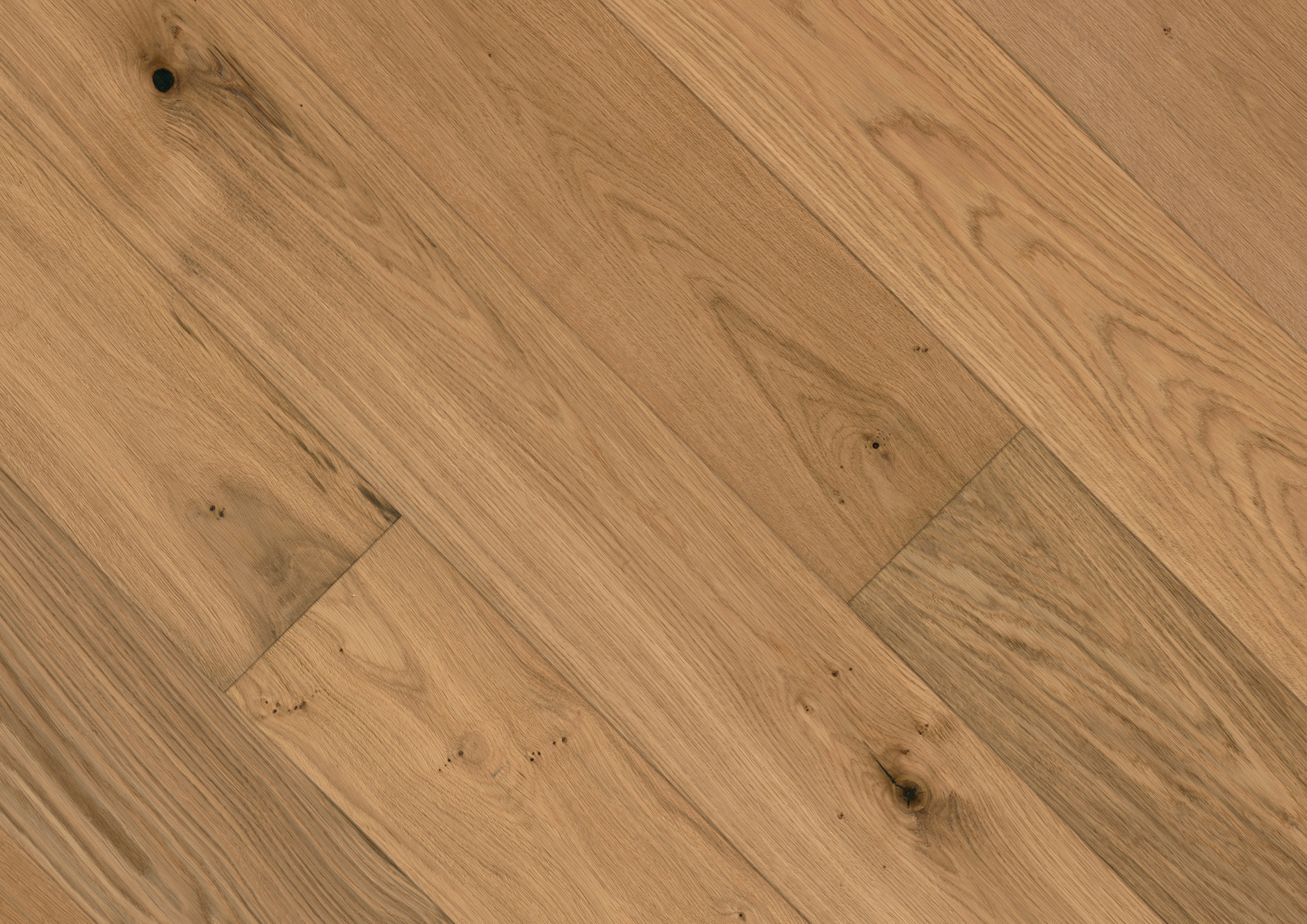 Oak No.11 - Salisbury