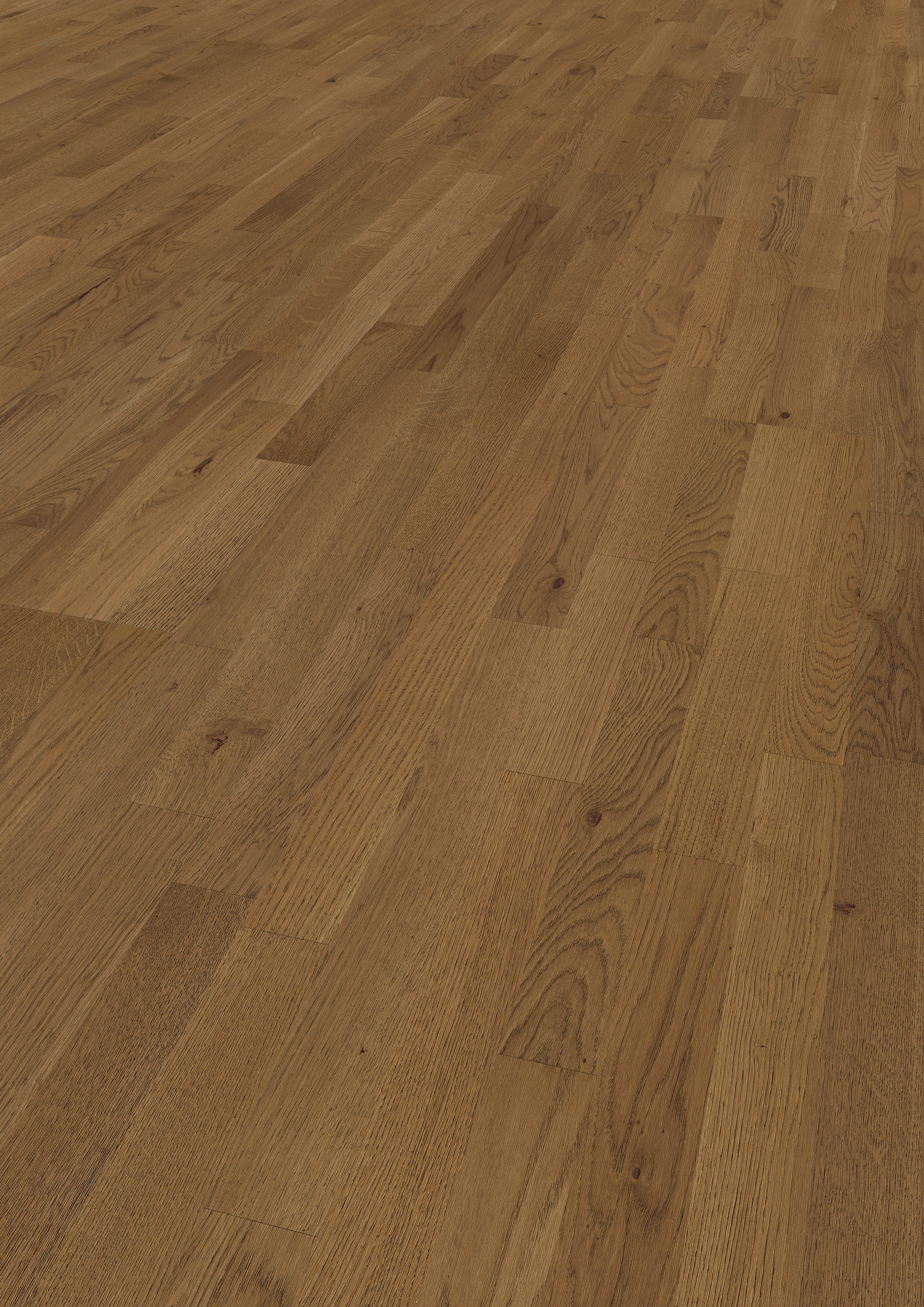Oak Haga