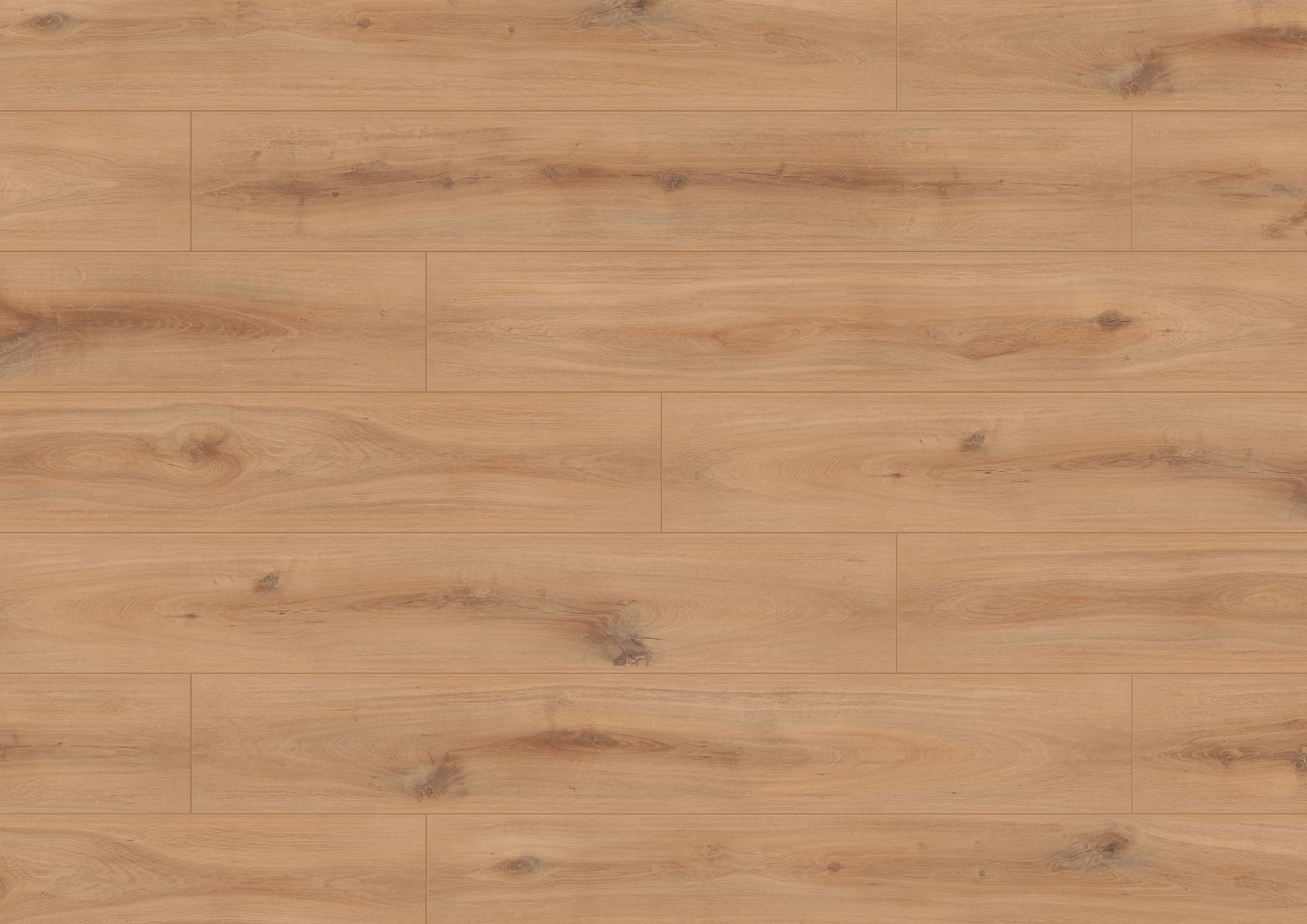 Eiken Djerba Eiken Djerba