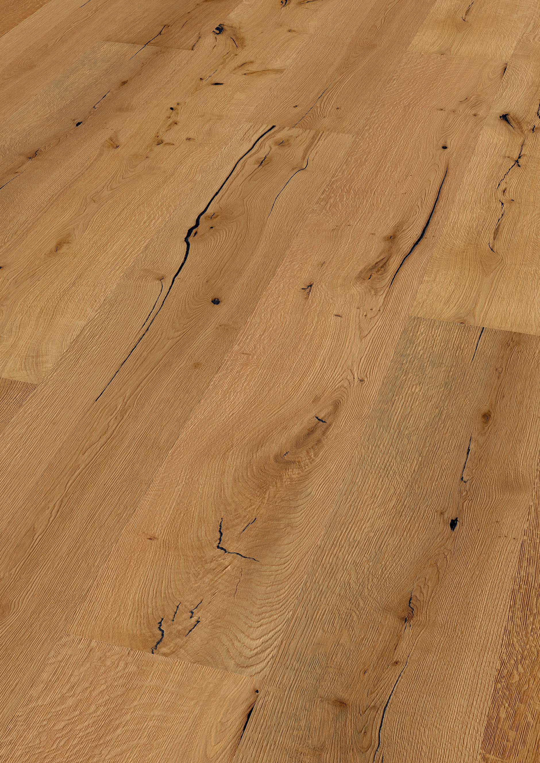Oak No.35 - Arundel