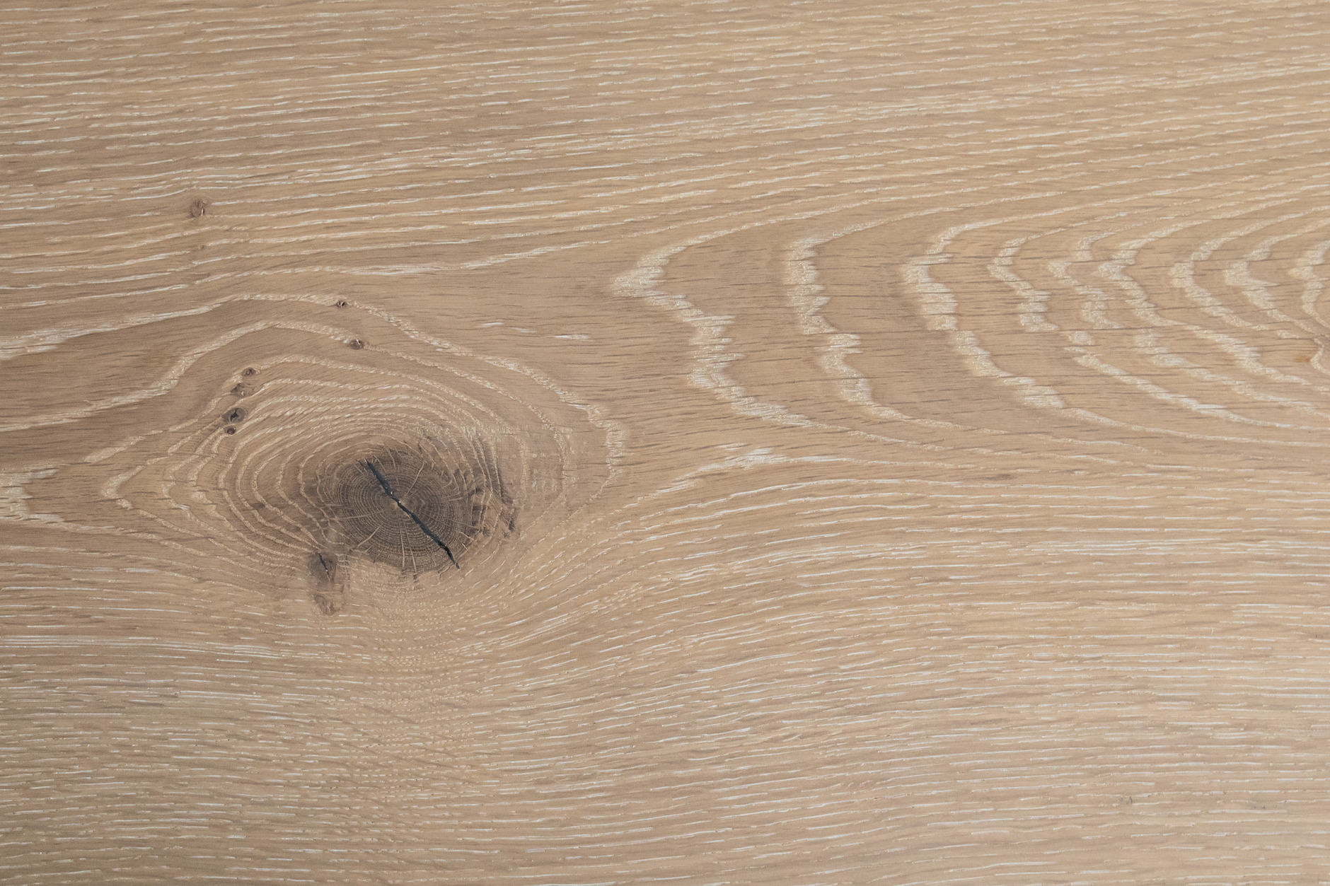 Oak No.18 - Balmoral