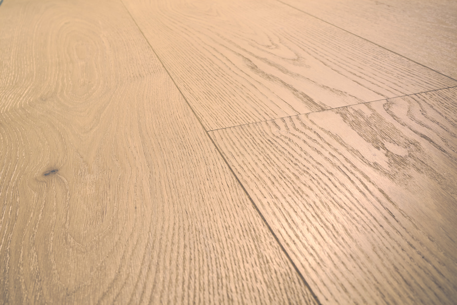 Oak No.36 - Harewood