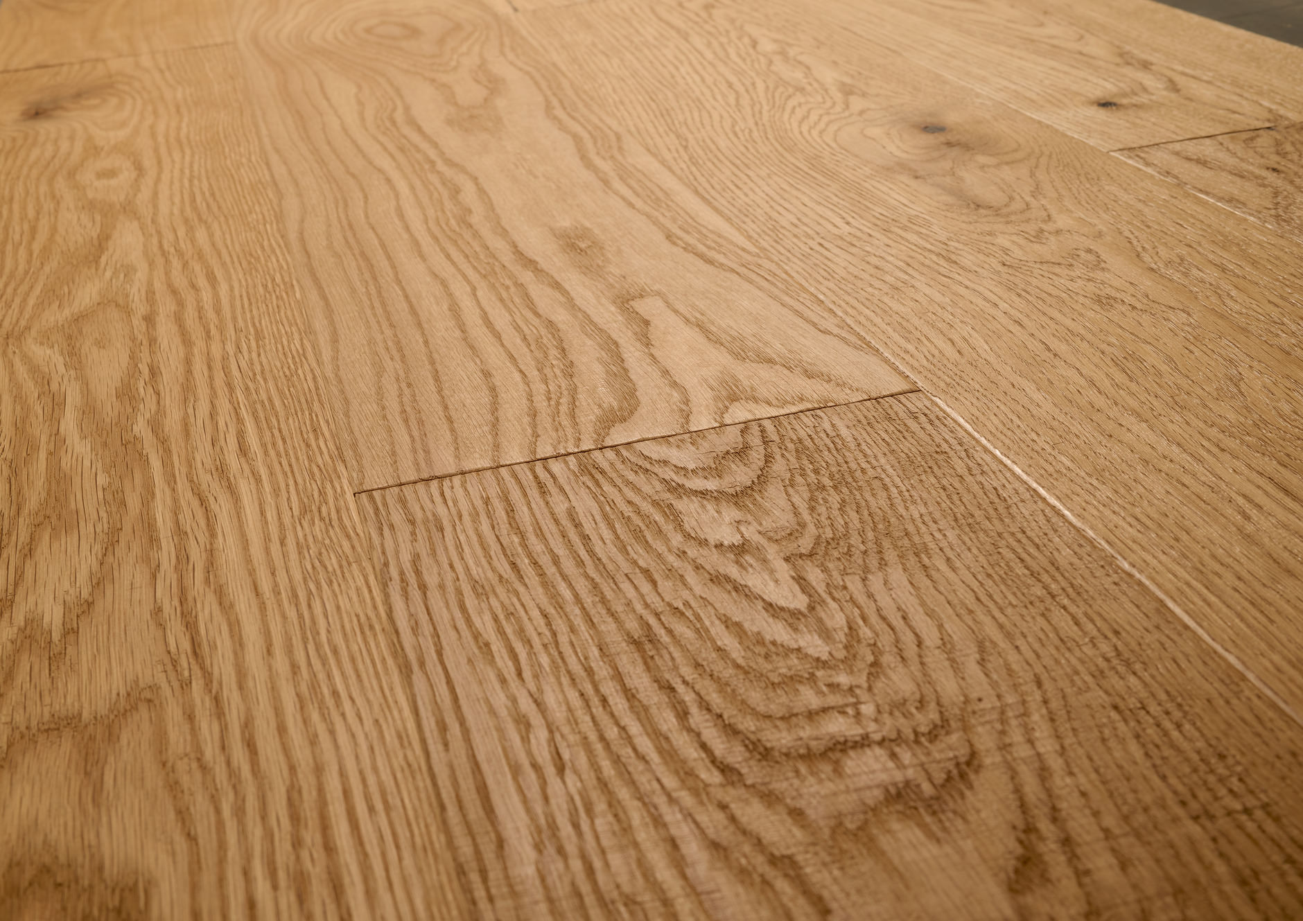 Oak No.11 - Salisbury