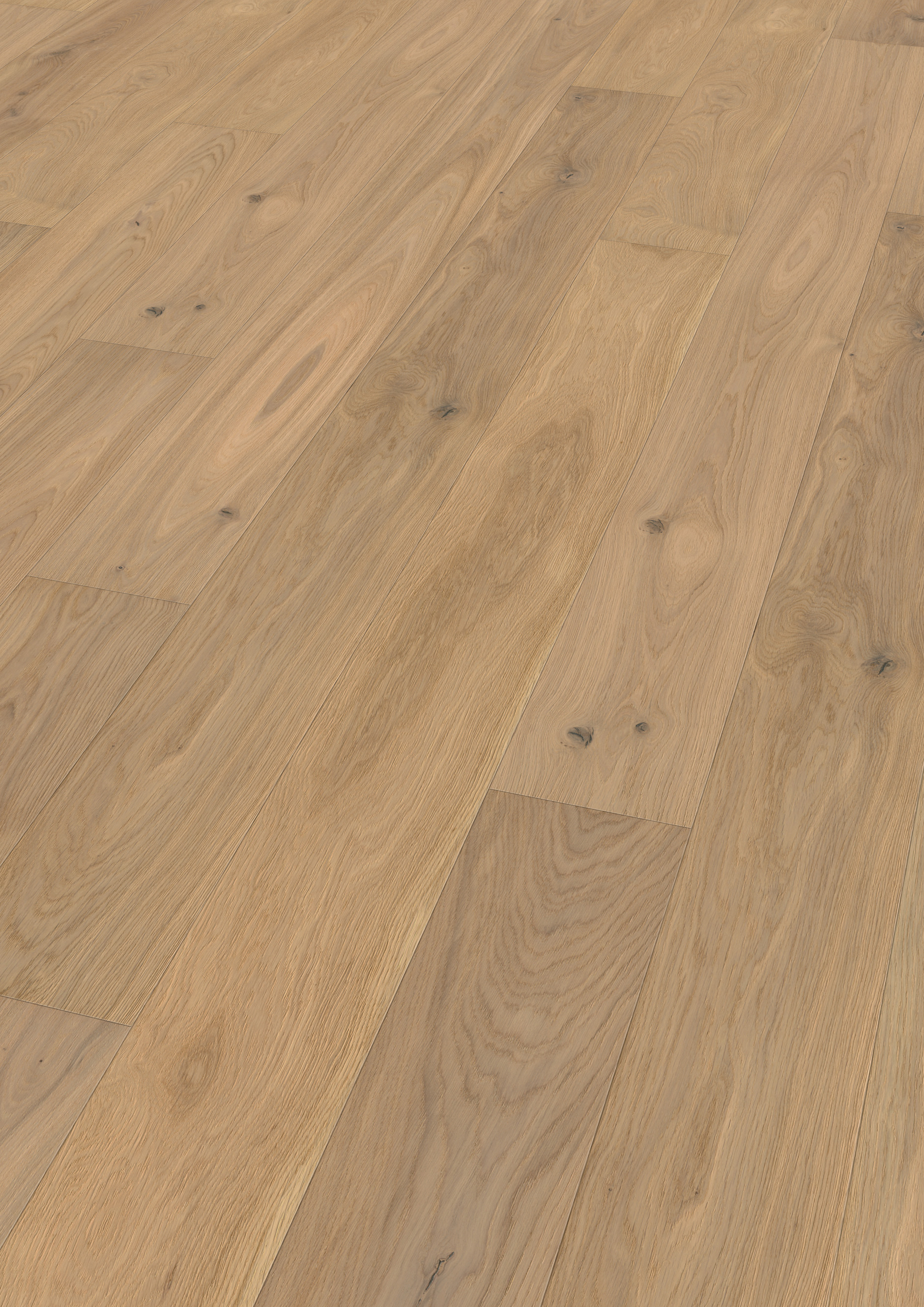 Oak Avignon
