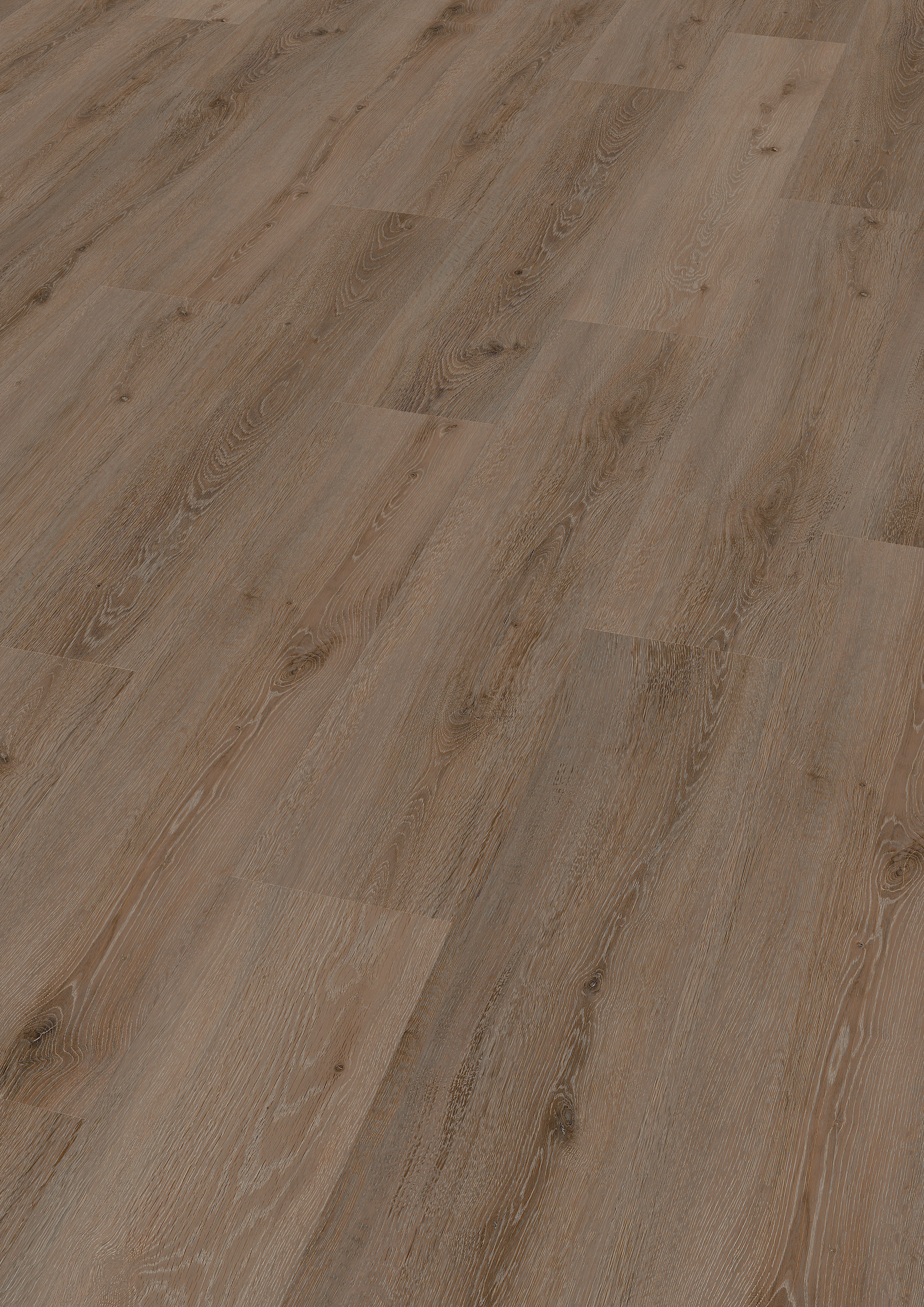 Oak Riga