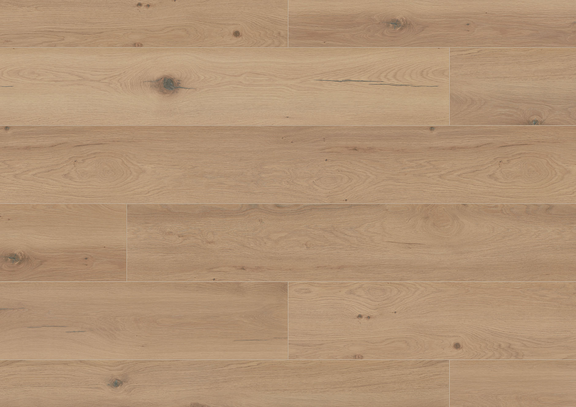 Chêne Palau Chêne Palau