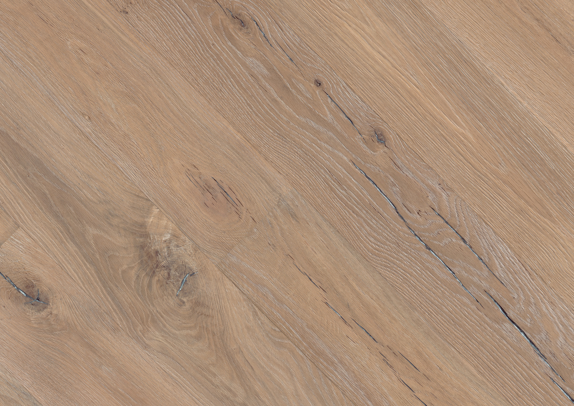 Oak No.12 - Lancaster