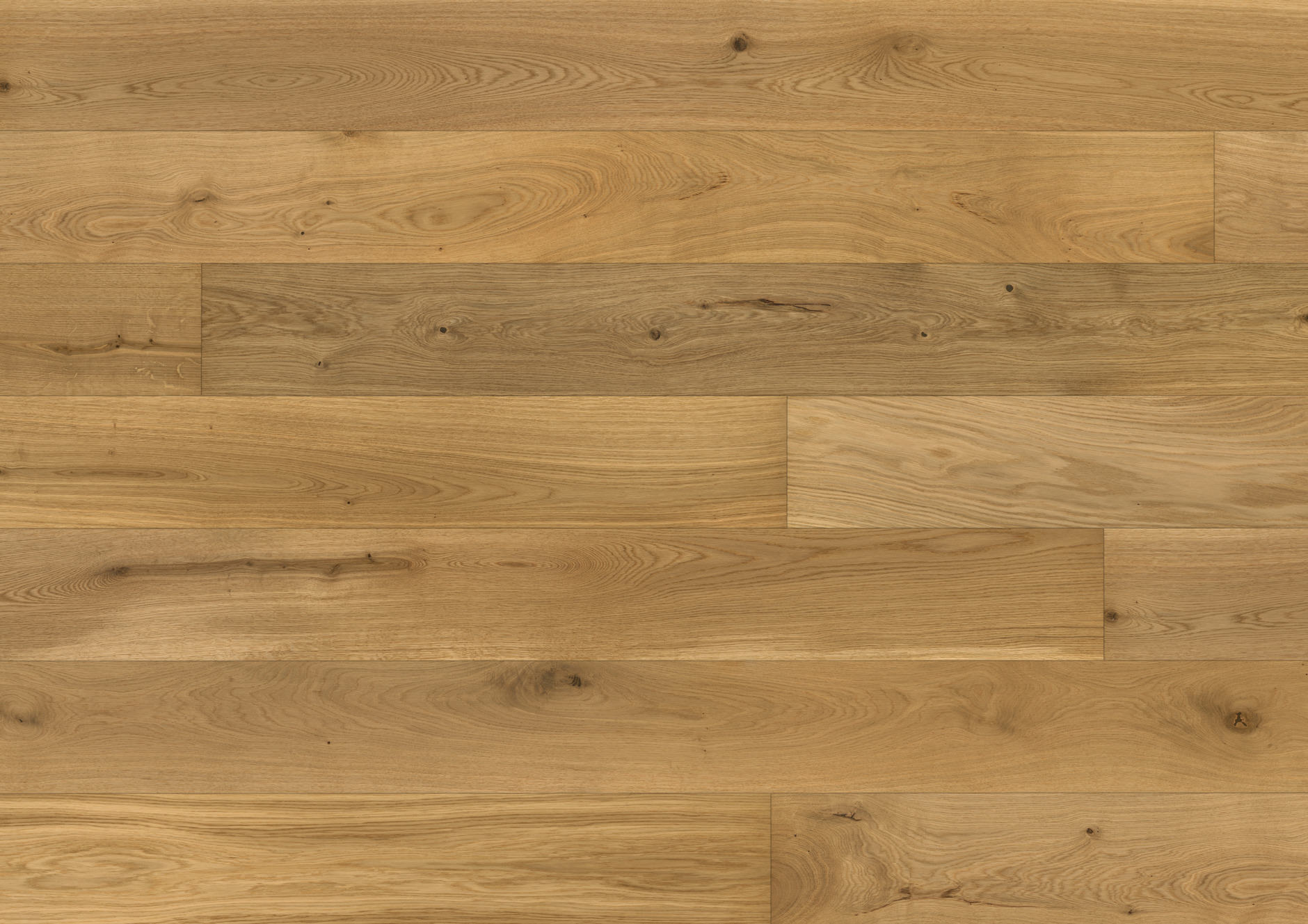 Oak Jambes
