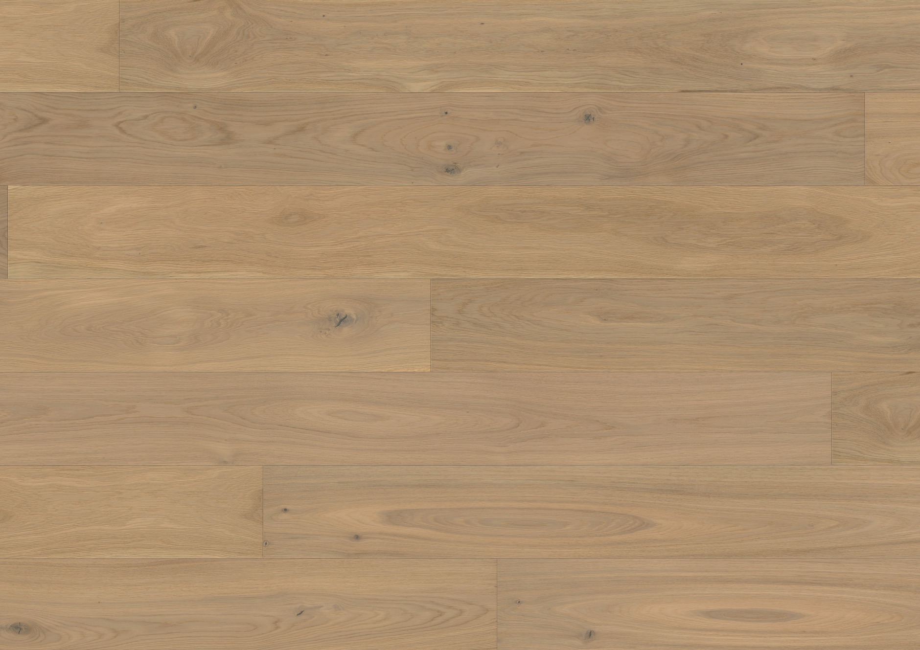Oak Avignon