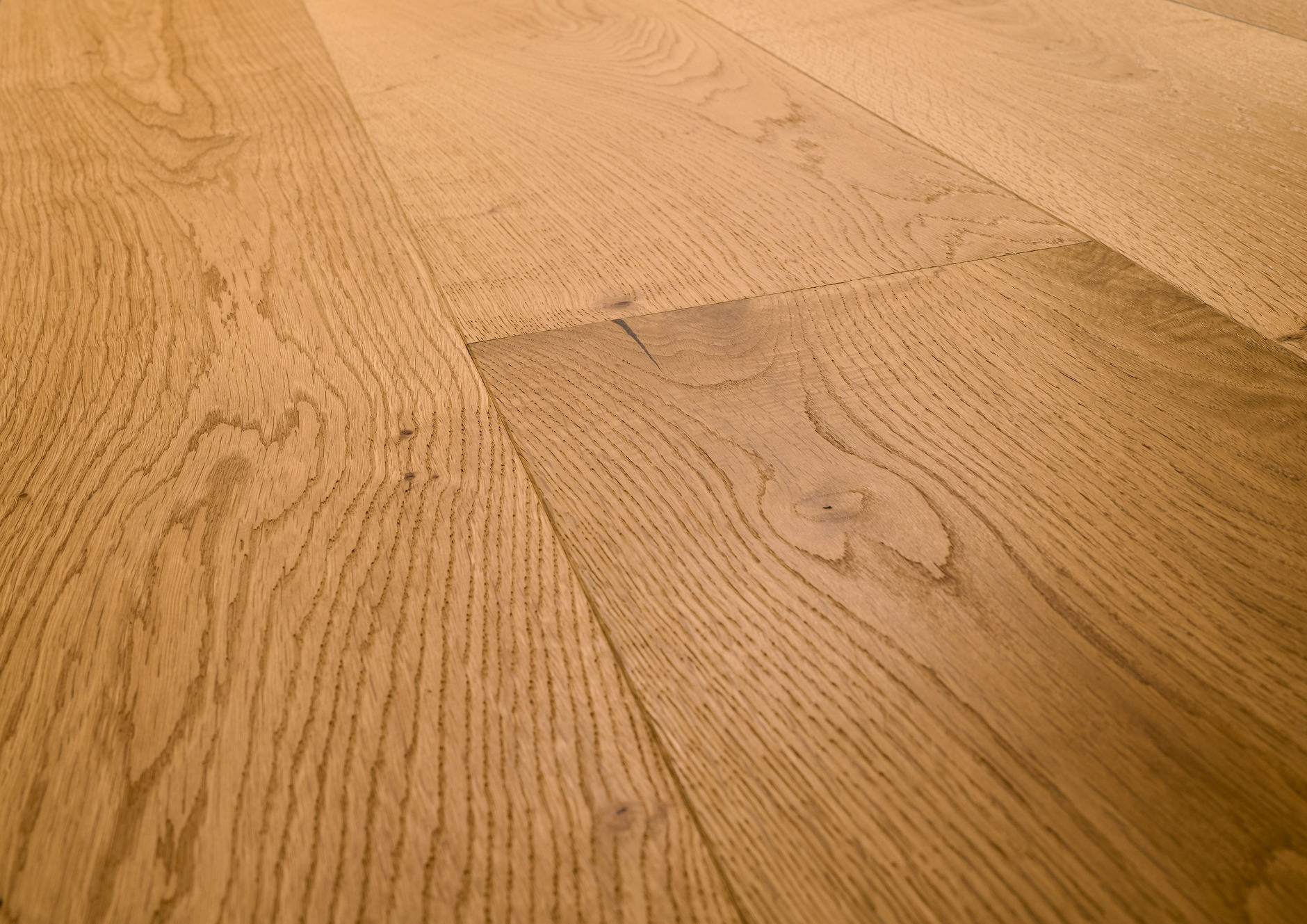 Oak No.14 - Windsor