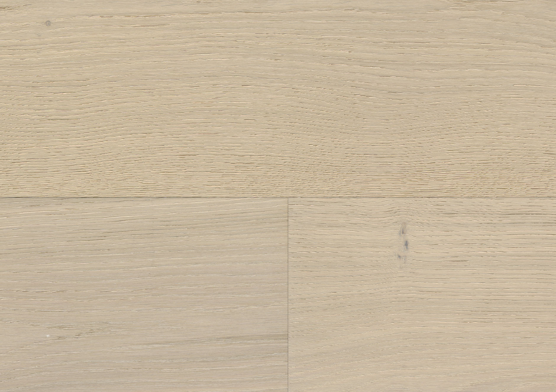 Oak No.36 - Harewood