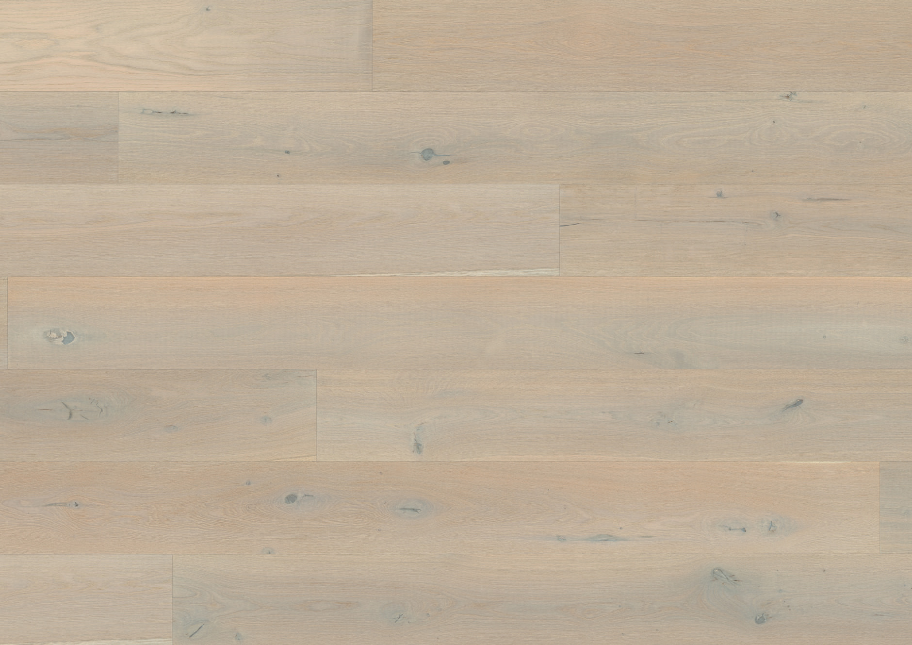 Oak Het Zand