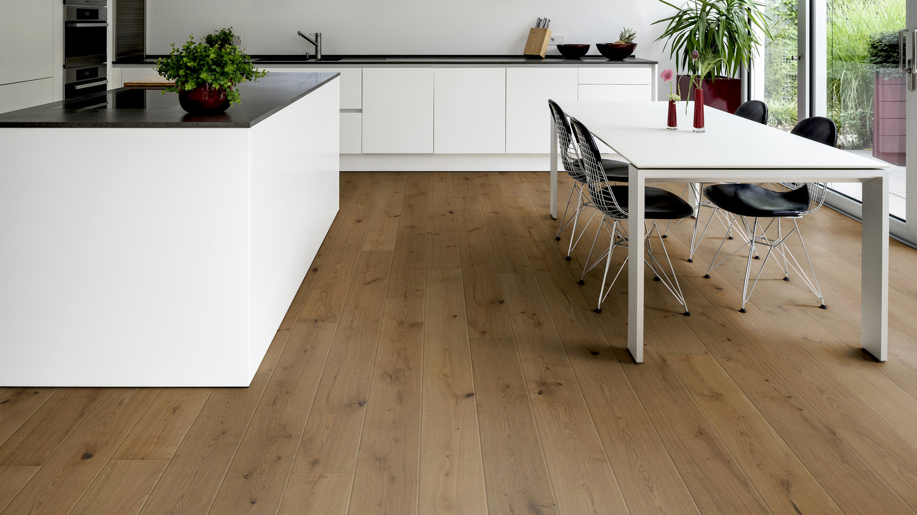 Eiche La Torse Eiche La Torse