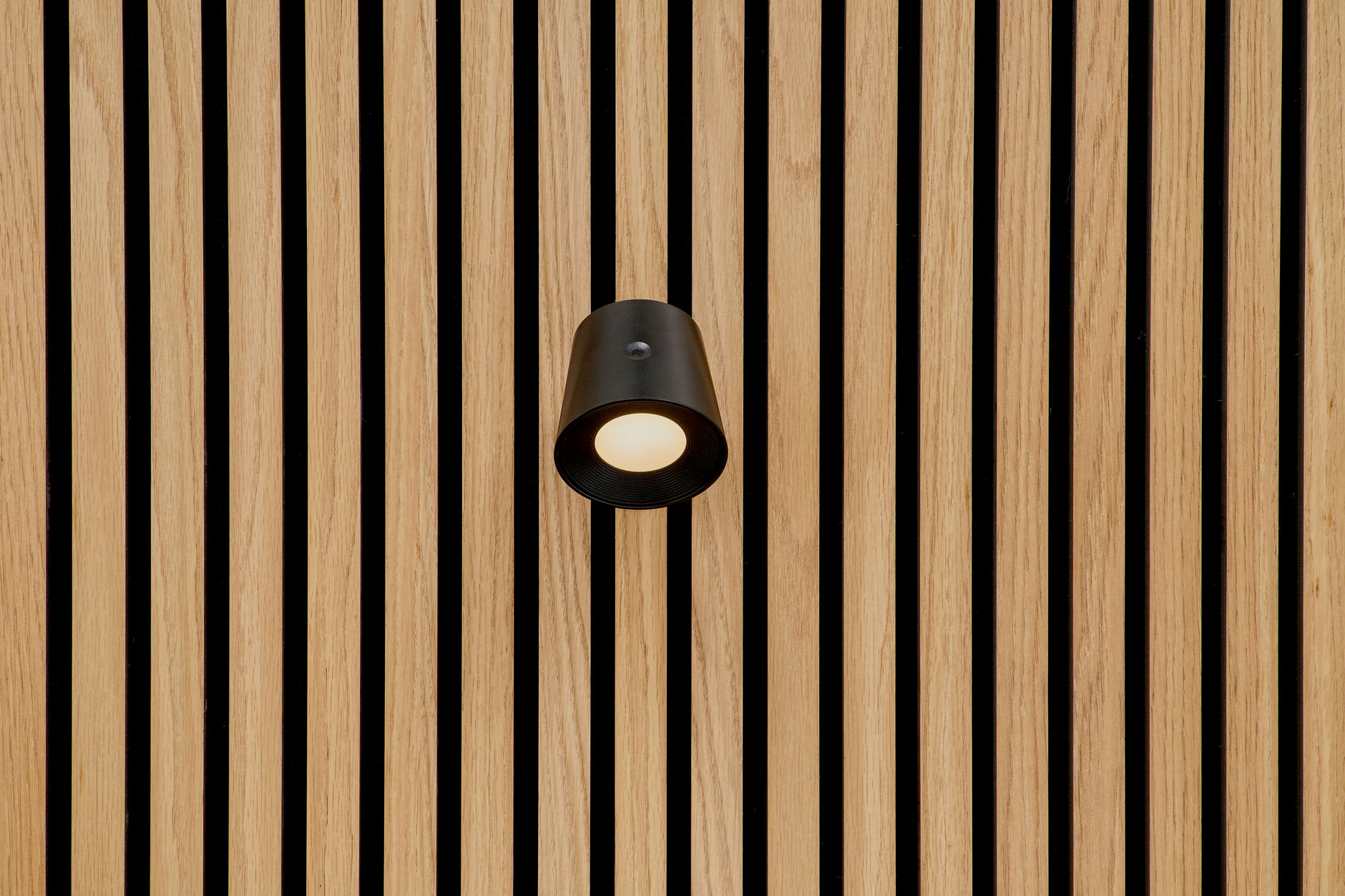 Eirik Spot - Spotlicht